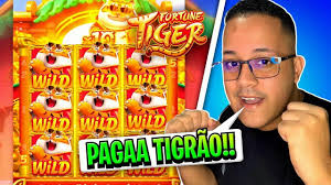 plataforma do jogo do tigre para mobile